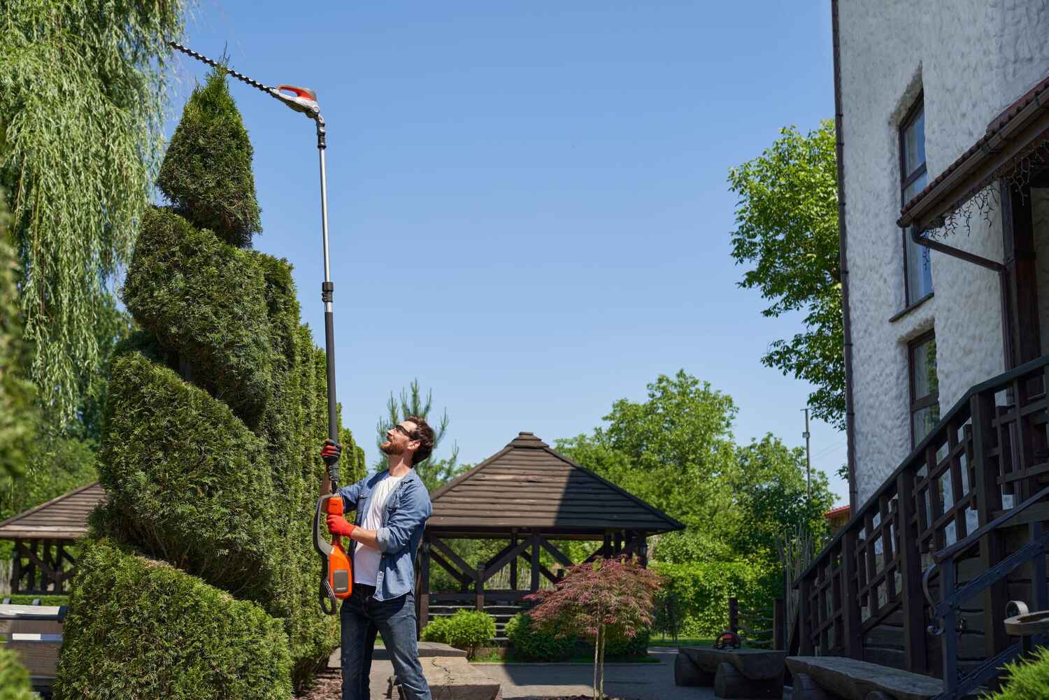 Emergency Storm Tree Removal in Shrewsbury, MO